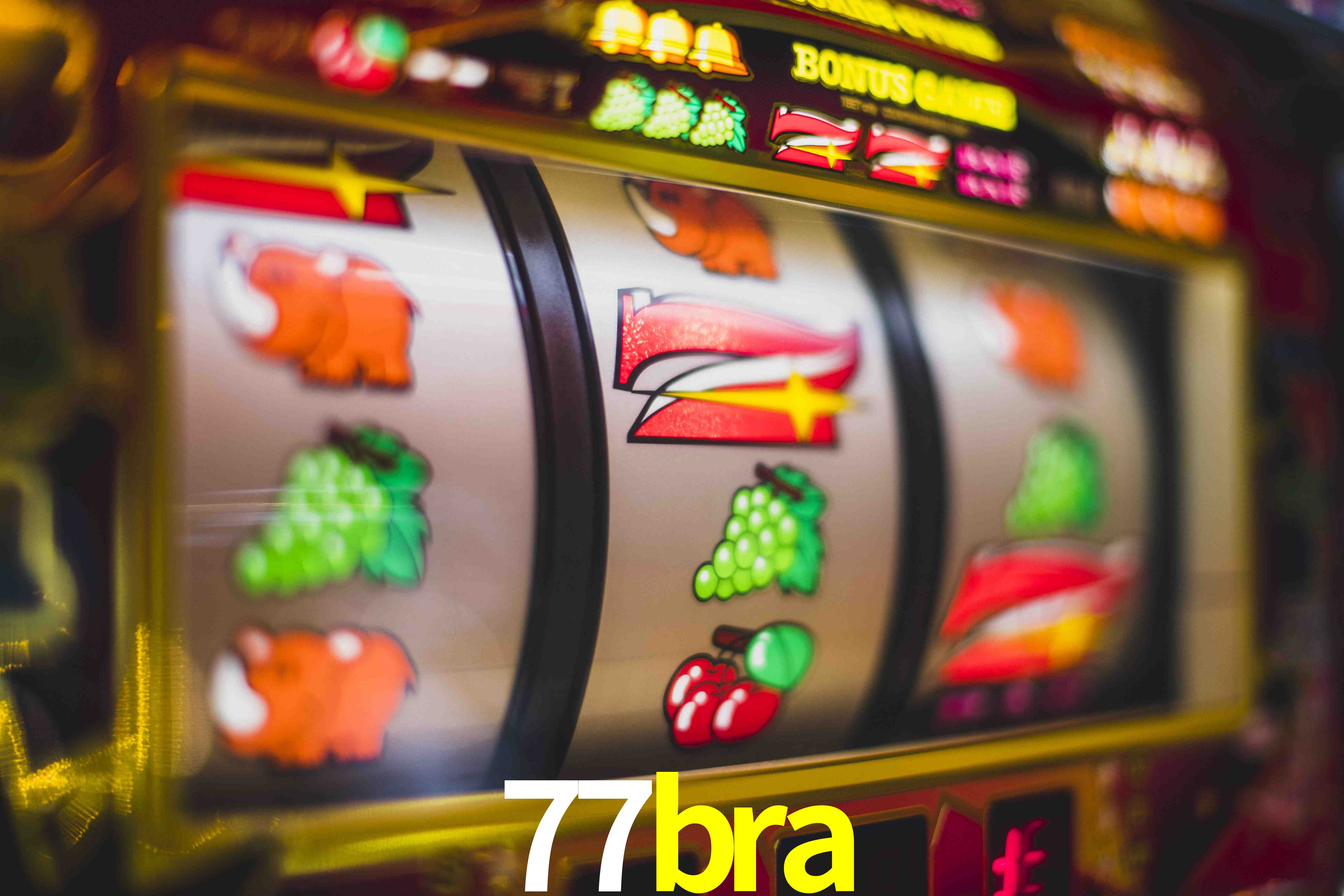 VIP Casino 77bra